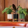 Orla Kiely Gifts Under £50-Debossed Plant Pot On Wooden Stand