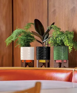 Orla Kiely Gifts Under £50-Debossed Plant Pot On Wooden Stand